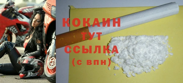 амф Каменка