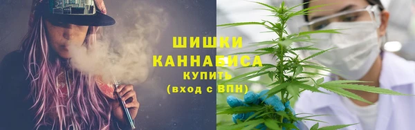 амф Каменка