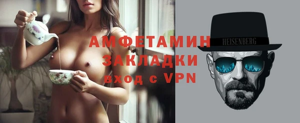 амф Каменка