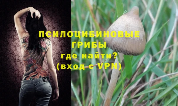 тгк Каменск-Шахтинский