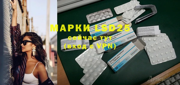 тгк Инсар