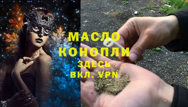 амф Каменка