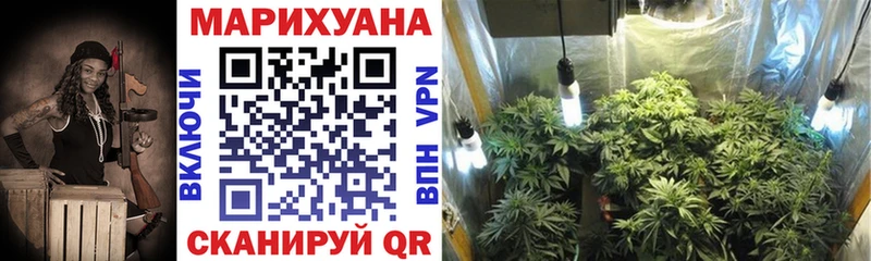 Купить закладки  Мглин  Каннабис White Widow 